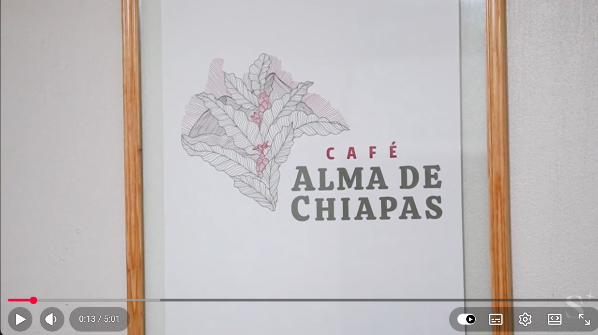 Captura de pantalla del video de la cooperativa Alma de Chiapas